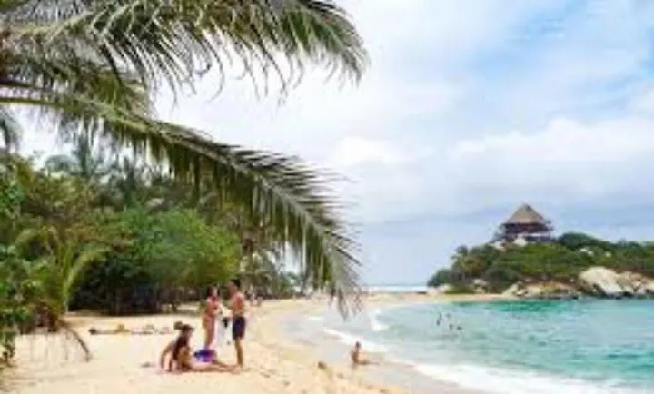 Oso Hostel Cabana Los Linderos Santa Marta  Apartment