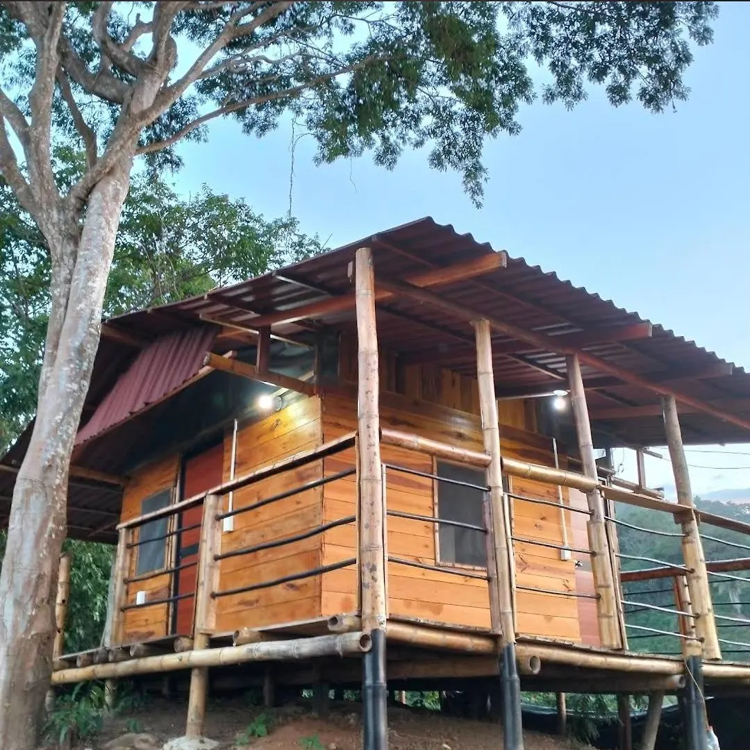 Oso Hostel Cabana Los Linderos Santa Marta  Apartment Santa Marta (Magdalena)
