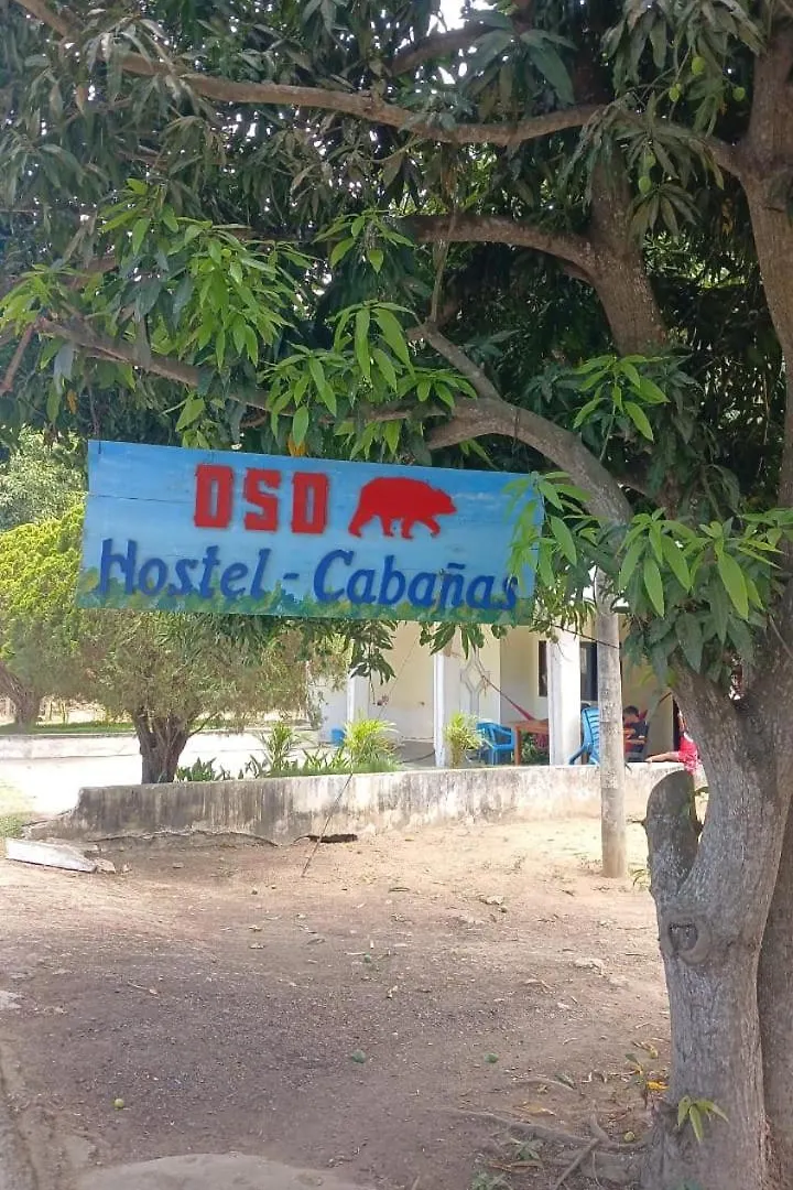 Oso Hostel Cabana Los Linderos Santa Marta  Santa Marta (Magdalena)
